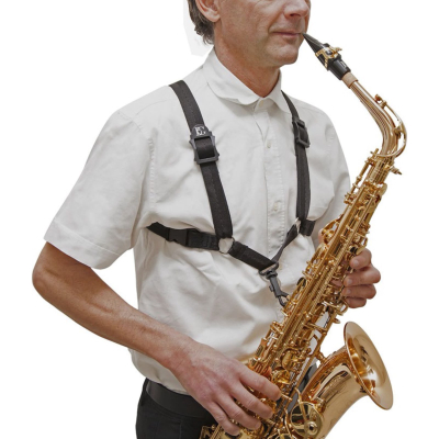 Arnes - Bg - Saxo Alto/Tenor/Baritono - Con Gancho Plastico - Snap - Hombre - S40Sh  