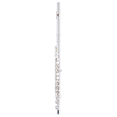 Flauta Traversa - Stagg - C - 17 Llaves Abiertas - Sol En Linea - Con Estuche - Wsfl251S  