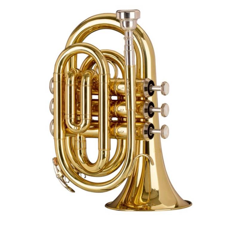 Trompeta - Stagg - Pocket - Bb - Con Estuche - Wstr245S