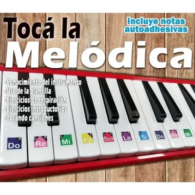 Toca La Melodica Con Stickers De Notas A Color - Doremi - 04-020  